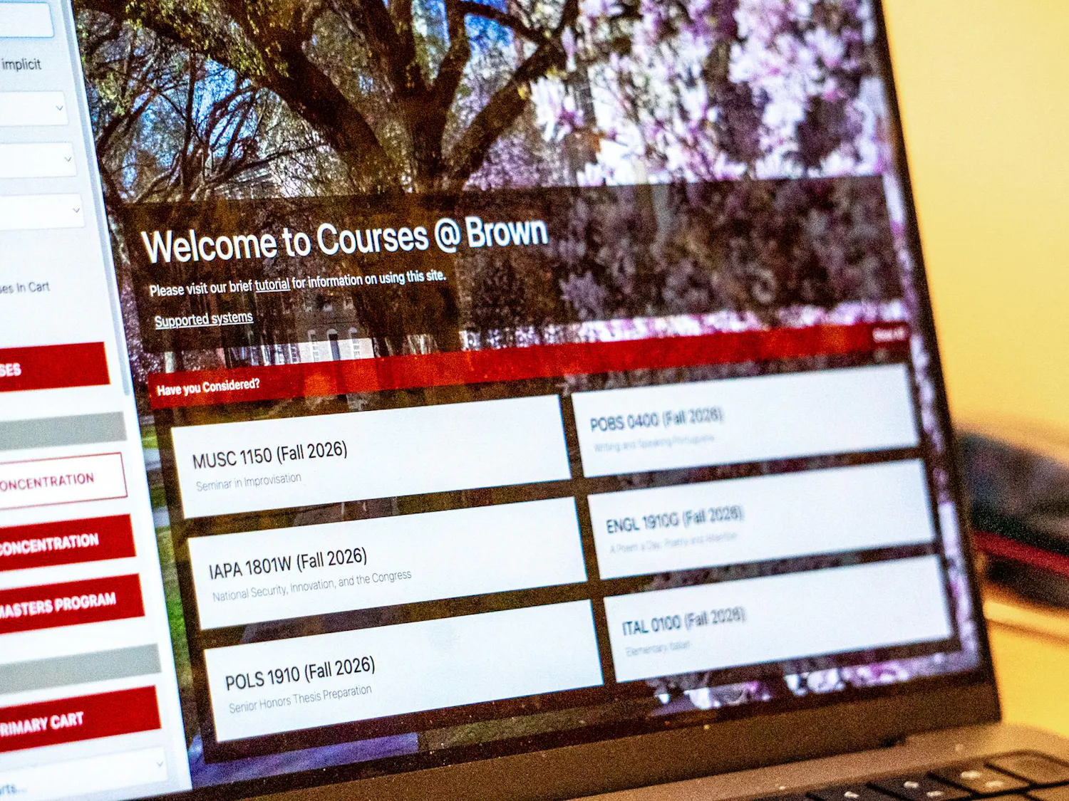 Kaak_C@B_CO_Annamaria Luecht