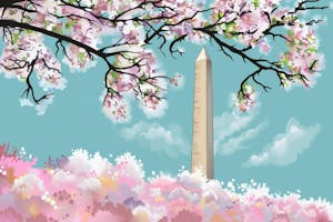 An illustration of the Washington Monument with cherry blossoms surrounding it.