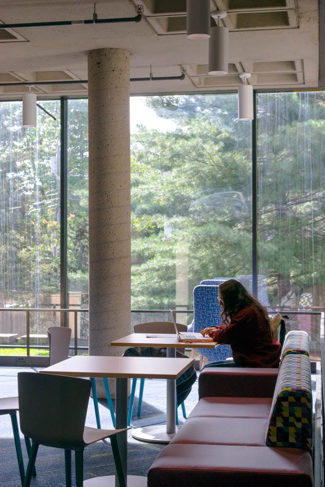 Bai_Bears-Lair_Gus-Reed