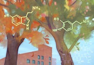 Illustration of chemical structures with Brown in the backdrop. 