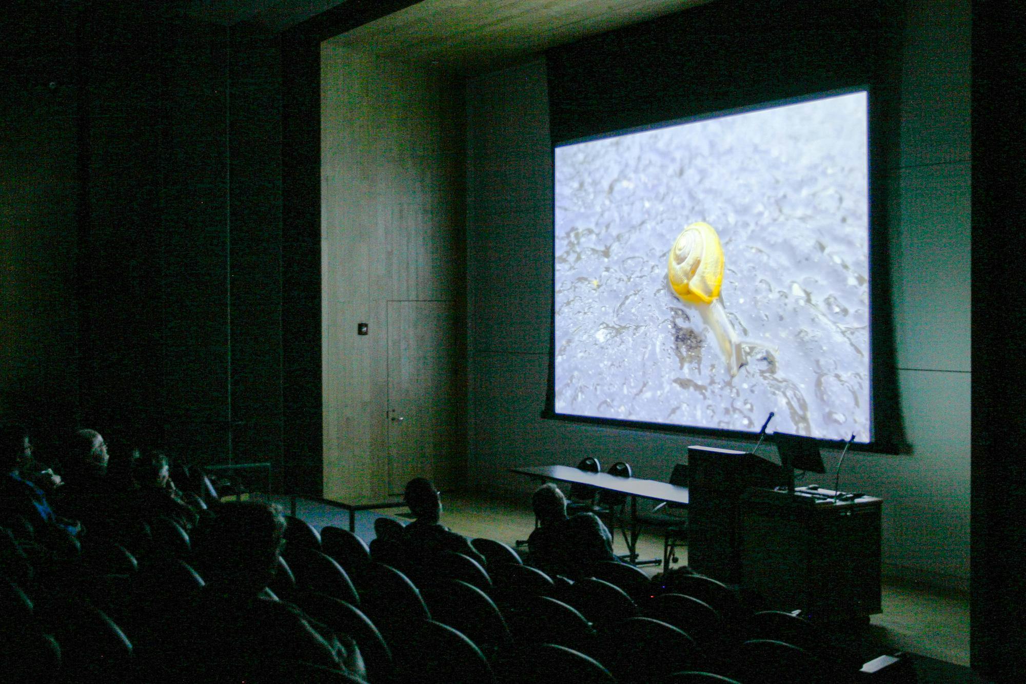 A picture of the audience watching a video of a yellow snail at the event.