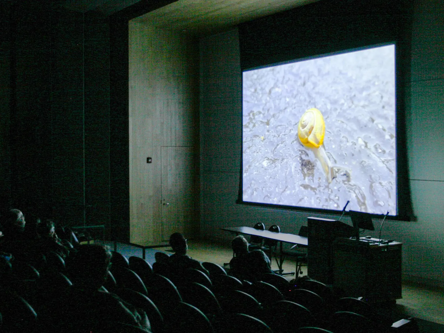A picture of the audience watching a video of a yellow snail at the event.