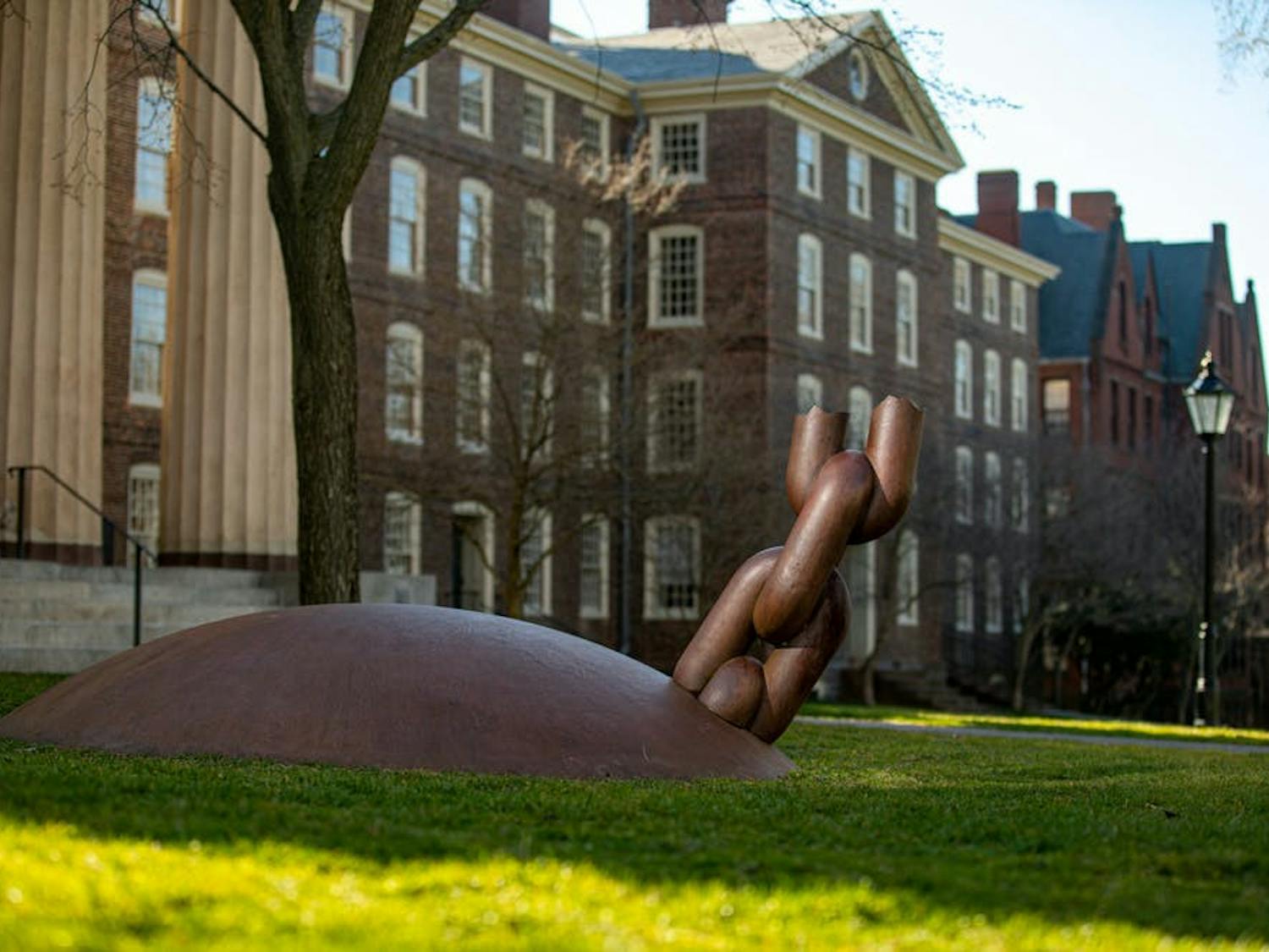 b8771674-a043-4215-8a57-350c9acaa1ad.sized-1000x1000 (2).jpeg