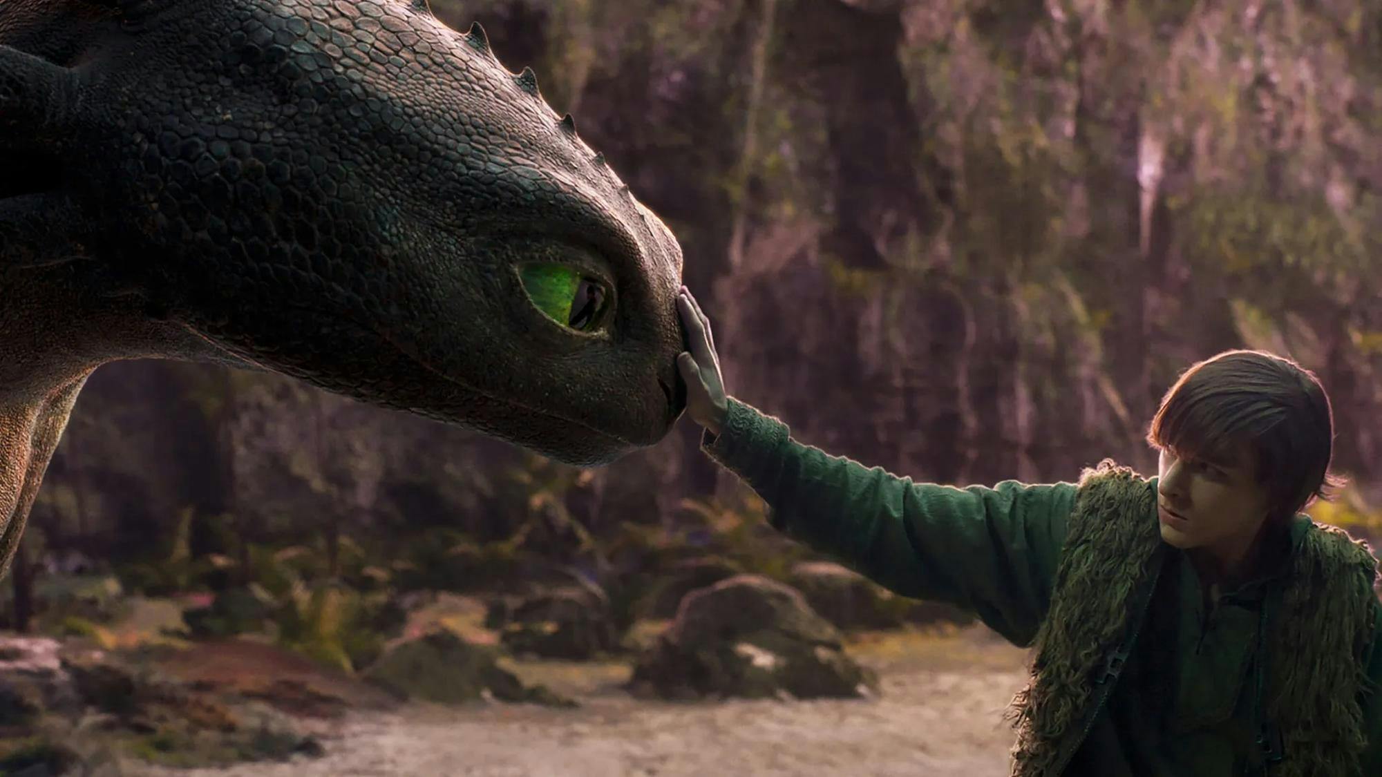 Photo of a boy gently placing his hand on the nose of a black dragon with green eyes.