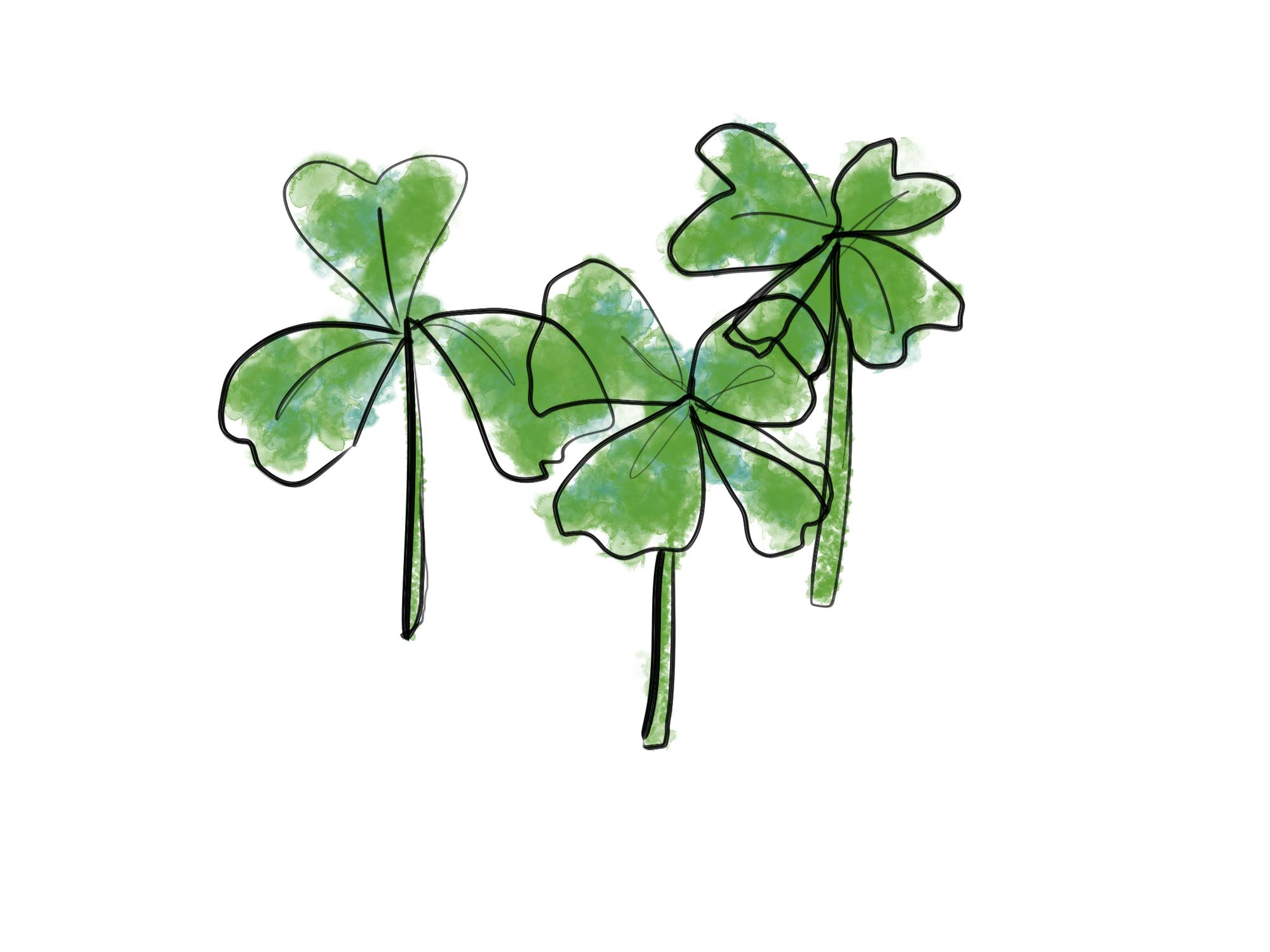 crossword st pattys.png