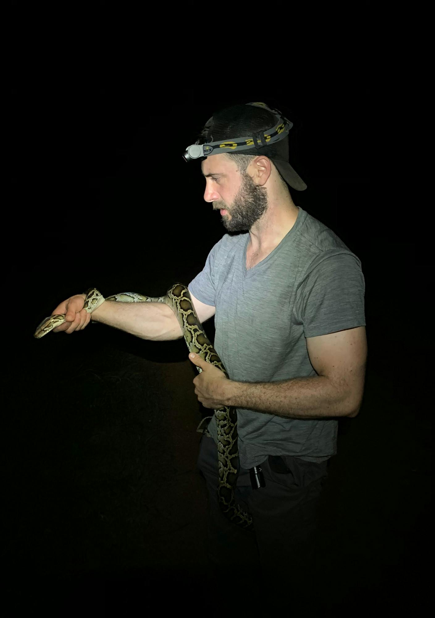 Zhang- Boa constrictors research paper.jpg