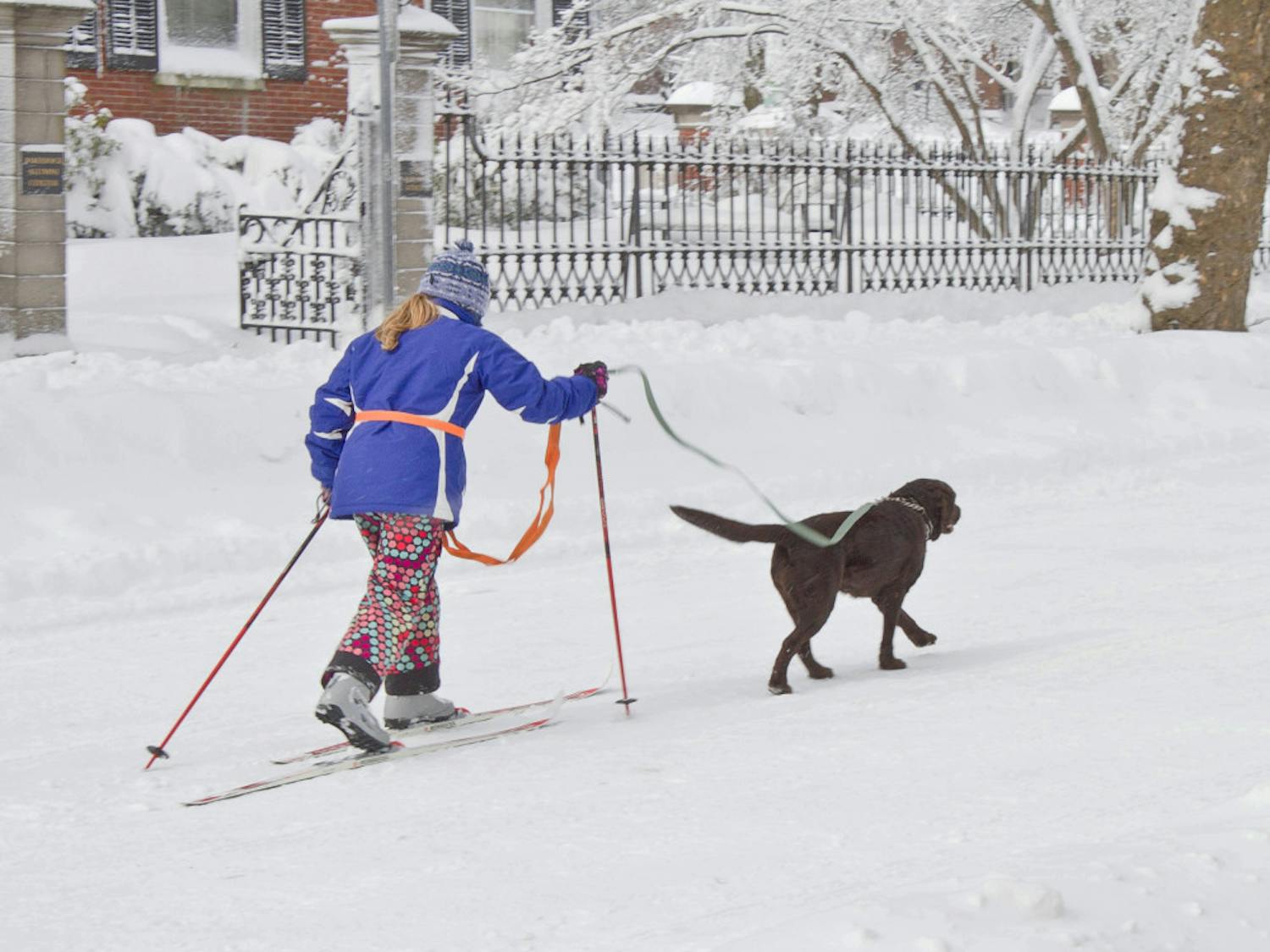 margolis_nemo3_evan-thomas