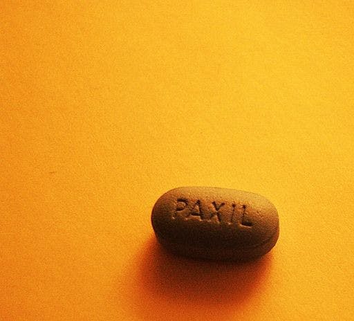 HeckMichael-Paxil_coWikimedia-Common