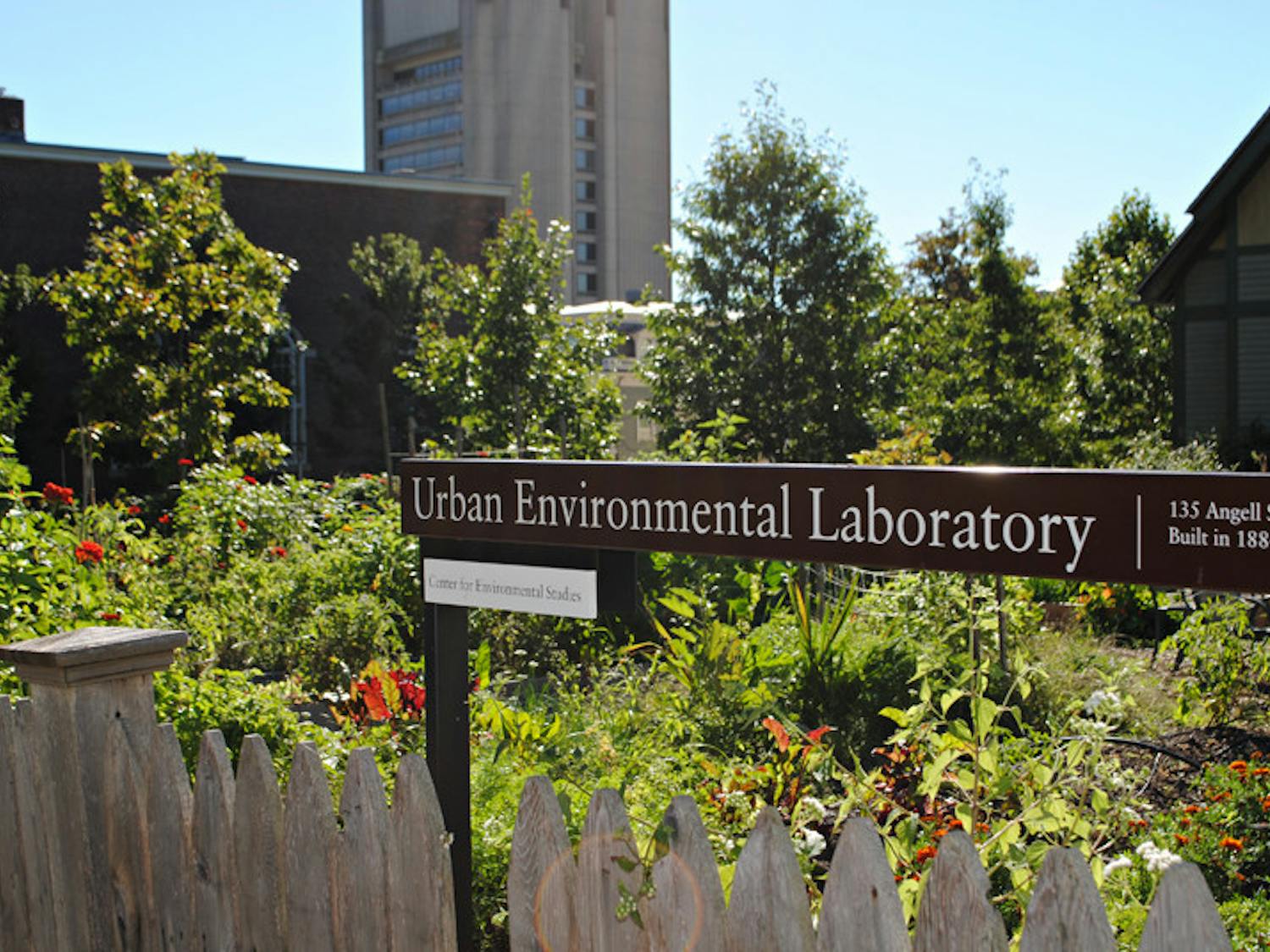 schulson_uel_katie-liebowitz