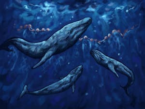 Illustration of three blue whales in the deep sea looking upwards.