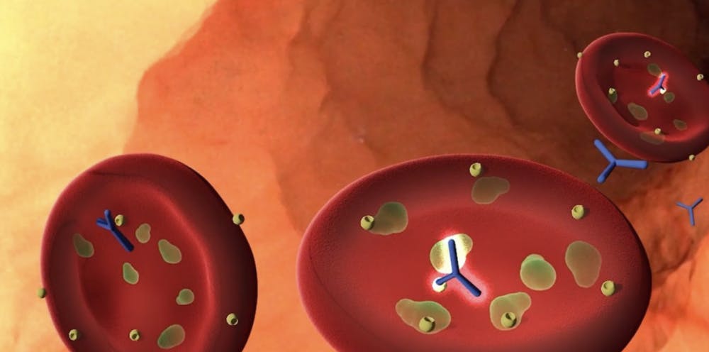 Screen-Shot-2020-04-30-at-9.59.50-AM