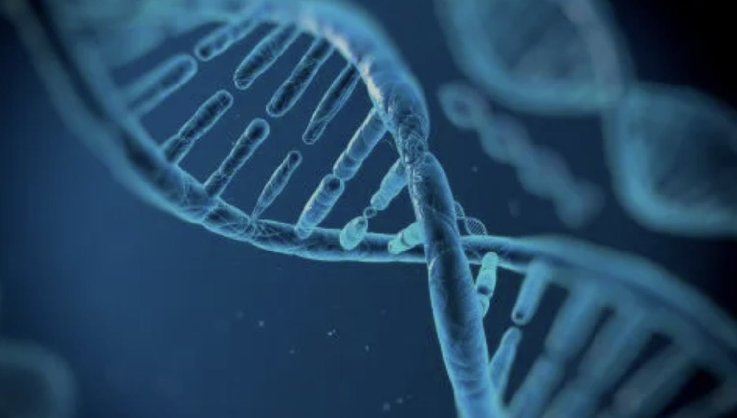 Digital illustration of a human DNA strand | Photograph: Vitaliy Smolygin/Alamy
