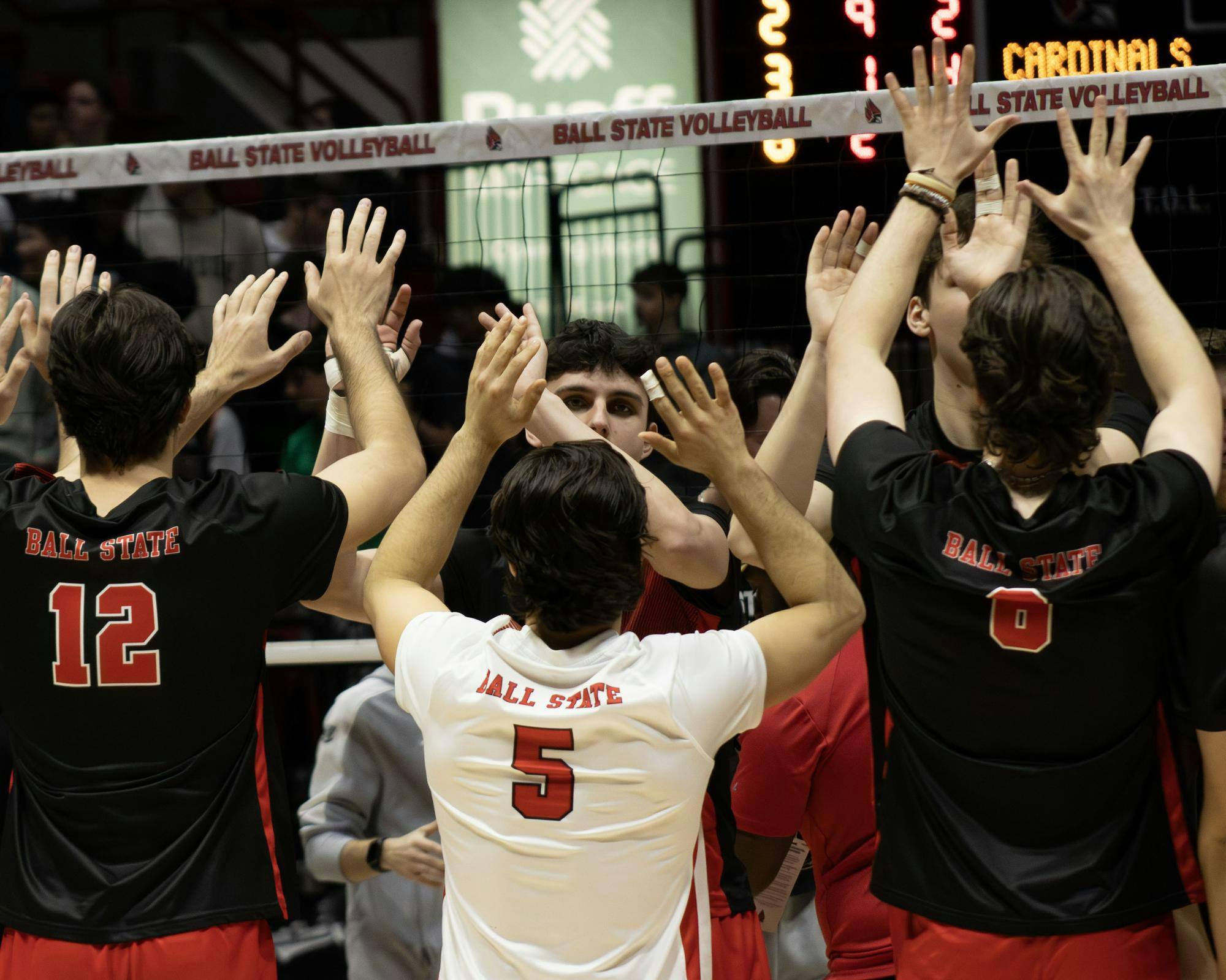 Ball State Men's Volleyball team celebrates win against Purdue Fort Wayne Feb. 27 at Worthen Arena. Emmely Candelaria, DN