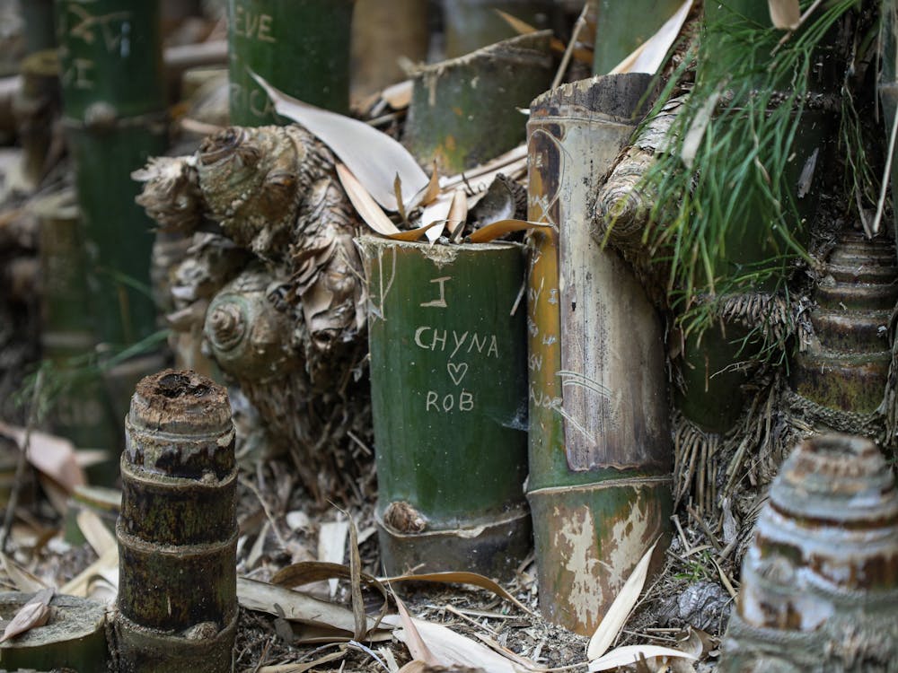 An engraved message on a bamboo stump in the Mildred E. Mathias Botanical Garden at UCLA May 8. Despite the messages on the bamboo trees, the garden discourages disrupting the natural elements of the space. Daniel Kehn, DN