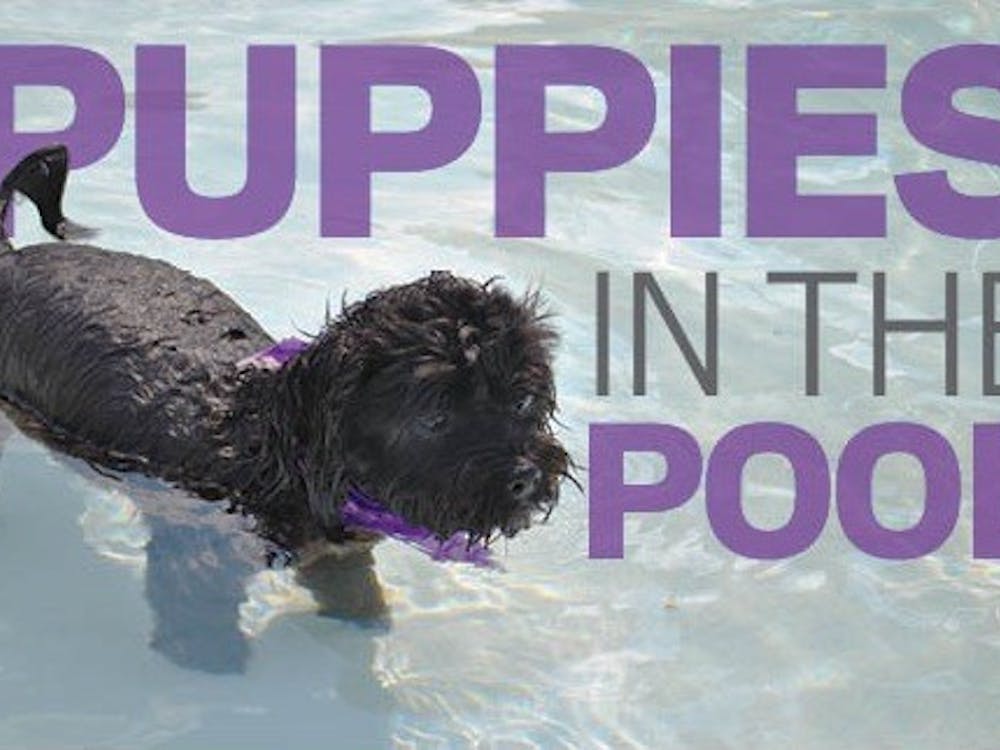 DN PHOTO KEELY COLLIER