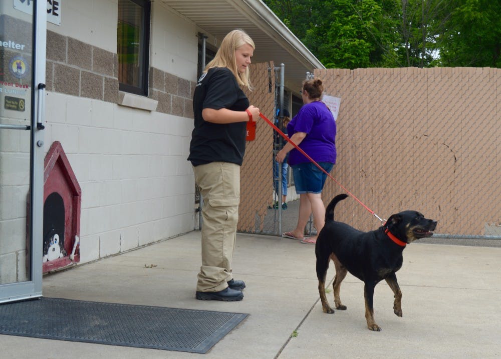 A Facebook film crew visited The Muncie Animal Shelter on July 18 to talk with volunteers as they walked dogs and played the mobile game Pokémon Go. DN PHOTO REBECCA KIZER