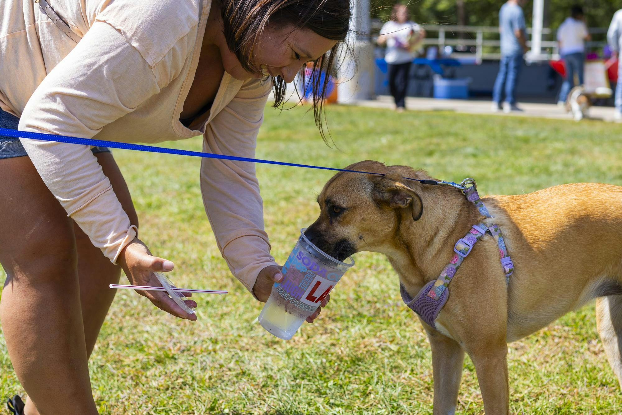 Dog owner Amanda gives her dog Coco water at the Grateful Tail Wagging Showcase Sept. 7 in Yorktown Ind. The showcase included pet related vendors, a dog food giveaway and a 5k fun run. Brenden Rowan, DN