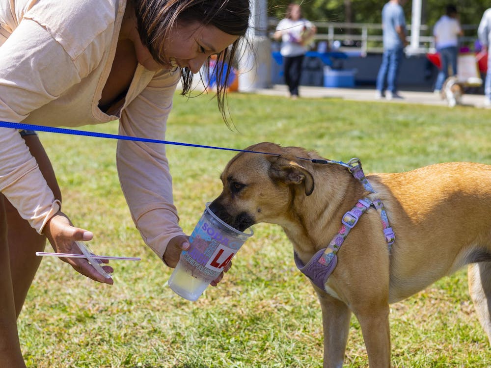 Dog owner Amanda gives her dog Coco water at the Grateful Tail Wagging Showcase Sept. 7 in Yorktown Ind. The showcase included pet related vendors, a dog food giveaway and a 5k fun run. Brenden Rowan, DN