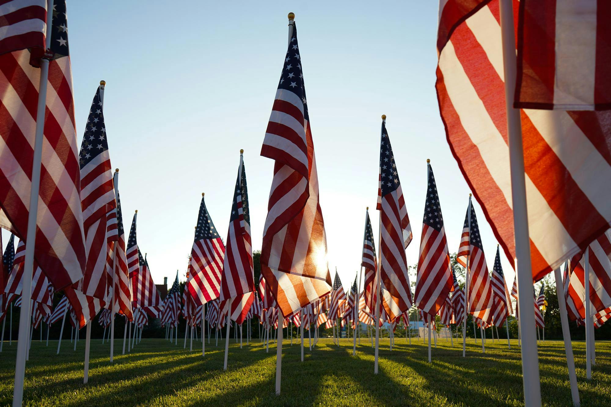 Flags fly during 'Flags of Honor' Sept. 4 at Minnetrista Museum & Gardens. Isabella Kemper, DN