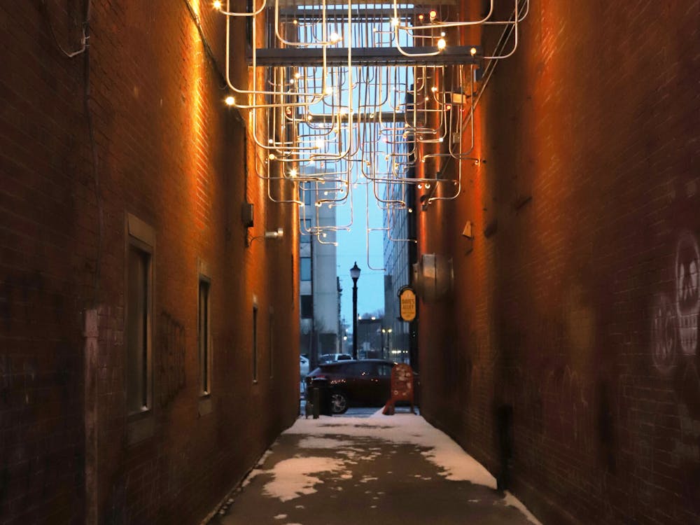The public art display "Midnight Palace" hangs in Dave's Alley Jan. 15 in downtown Muncie, Indiana.  The piece was made by Future Firm in Chicago, Illinois  Olivia Ground, DN