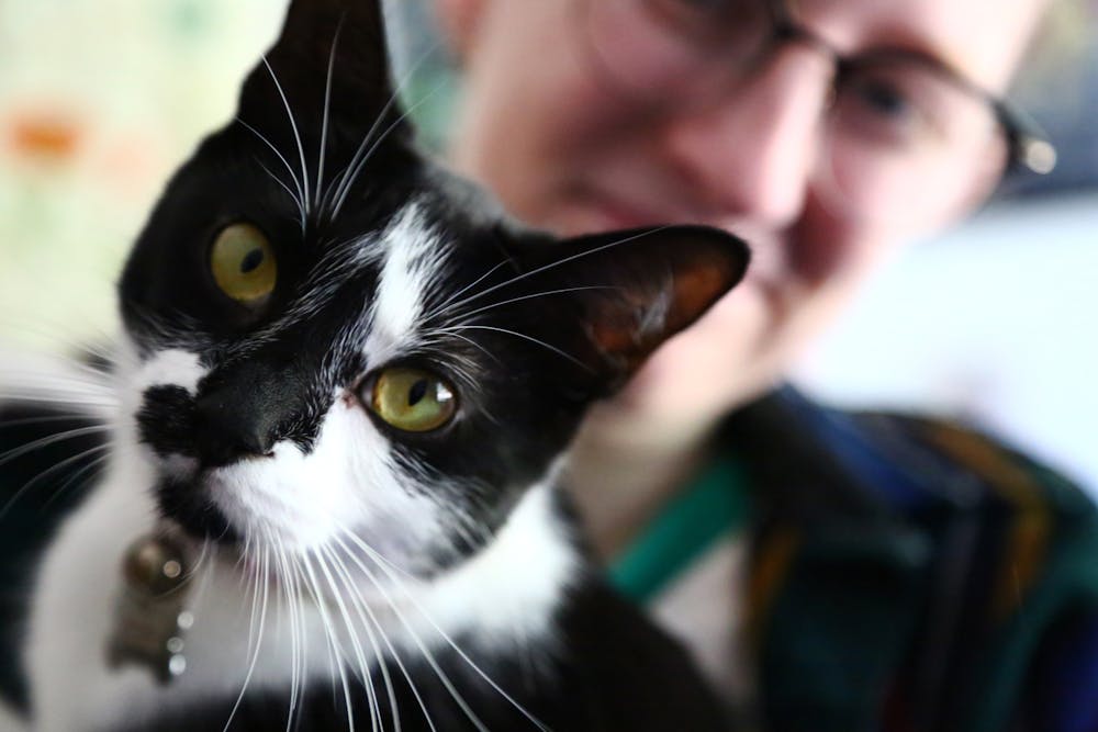 <p>Emotional Support Animal Finnegan looks into the camera while he sits on fourth-year media major Kat Webber's lap Sept.15 at the Anthony Apartments. Mya Cataline, DN</p>