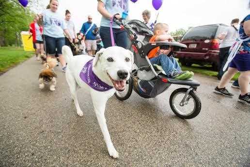MidWest Homes for Pets is hosting Bark for Life of Delaware County on May 21 from 9 a.m. to 12 p.m. at Morrow's Meadow Park.&nbsp;PHOTO COURTESY OF BARK FOR LIFE FACEBOOK