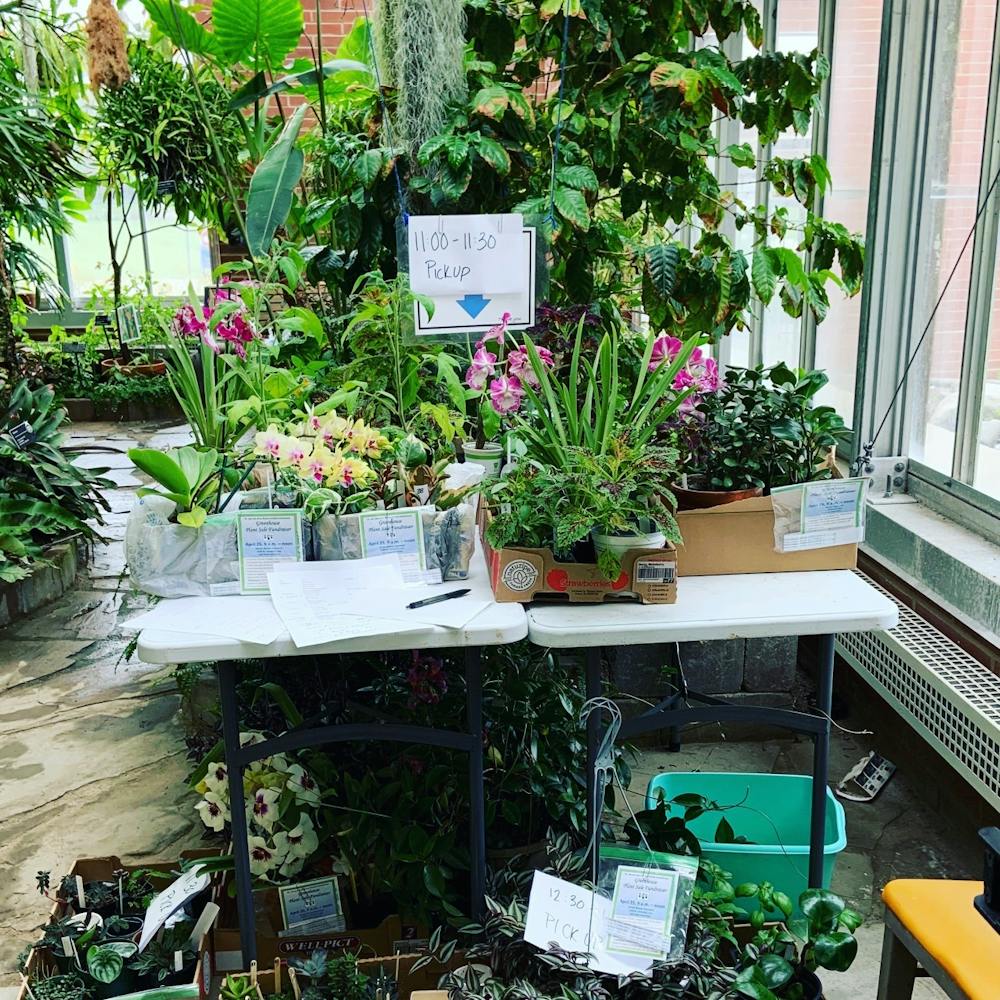 <p>This photo shows plants that have been purchased placed on a table at Ball State's Rinard Orchid Greenhouse. These plants were purchased through the greenhouse's annual sale which was held online this year. <strong>Erica Forstater, Photo Provided</strong></p>