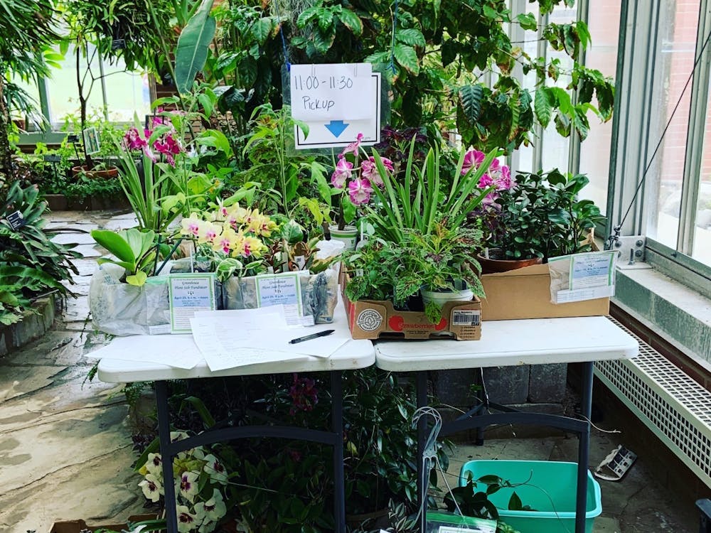 This photo shows plants that have been purchased placed on a table at Ball State's Rinard Orchid Greenhouse. These plants were purchased through the greenhouse's annual sale which was held online this year. Erica Forstater, Photo Provided