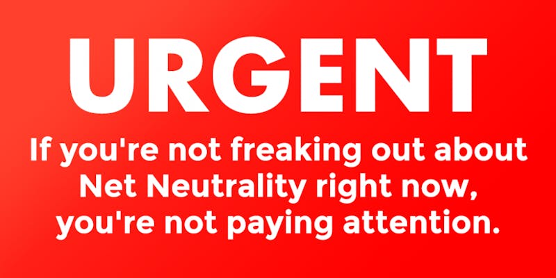 How repealing net neutrality will affect you and everything you love