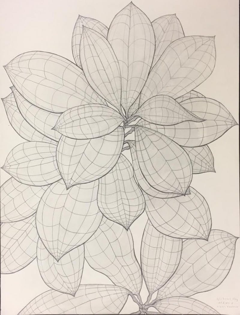 Students can feature their artwork inspired by the Joe and Alice Rinard Orchid Greenhouse starting Friday until April 28. Nicholas May, a Ball State sophomore, will have his work featured in the show. Nicholas May, Photo Provided &nbsp;