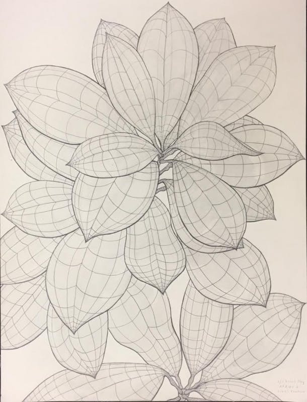 Joe and Alice Rinard Orchid Greenhouse hosts second student art show