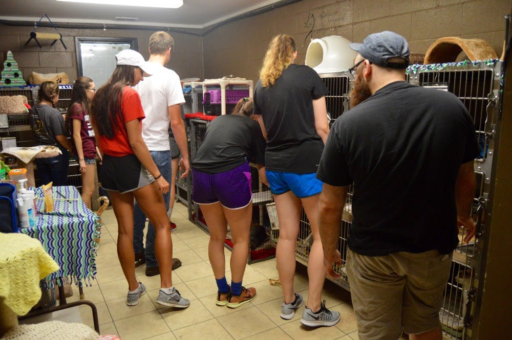 A Facebook film crew visited The Muncie Animal Shelter on July 18 to talk with volunteers as they walked dogs and played the mobile game Pokémon Go. DN PHOTO REBECCA KIZER
