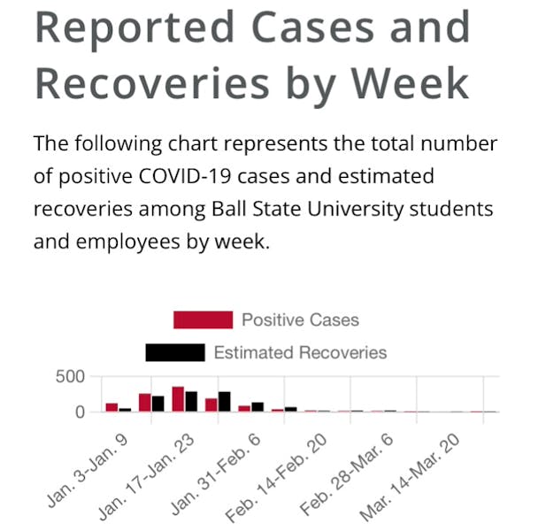 COVID19 cases remain low after mask mandate lifted The Daily News