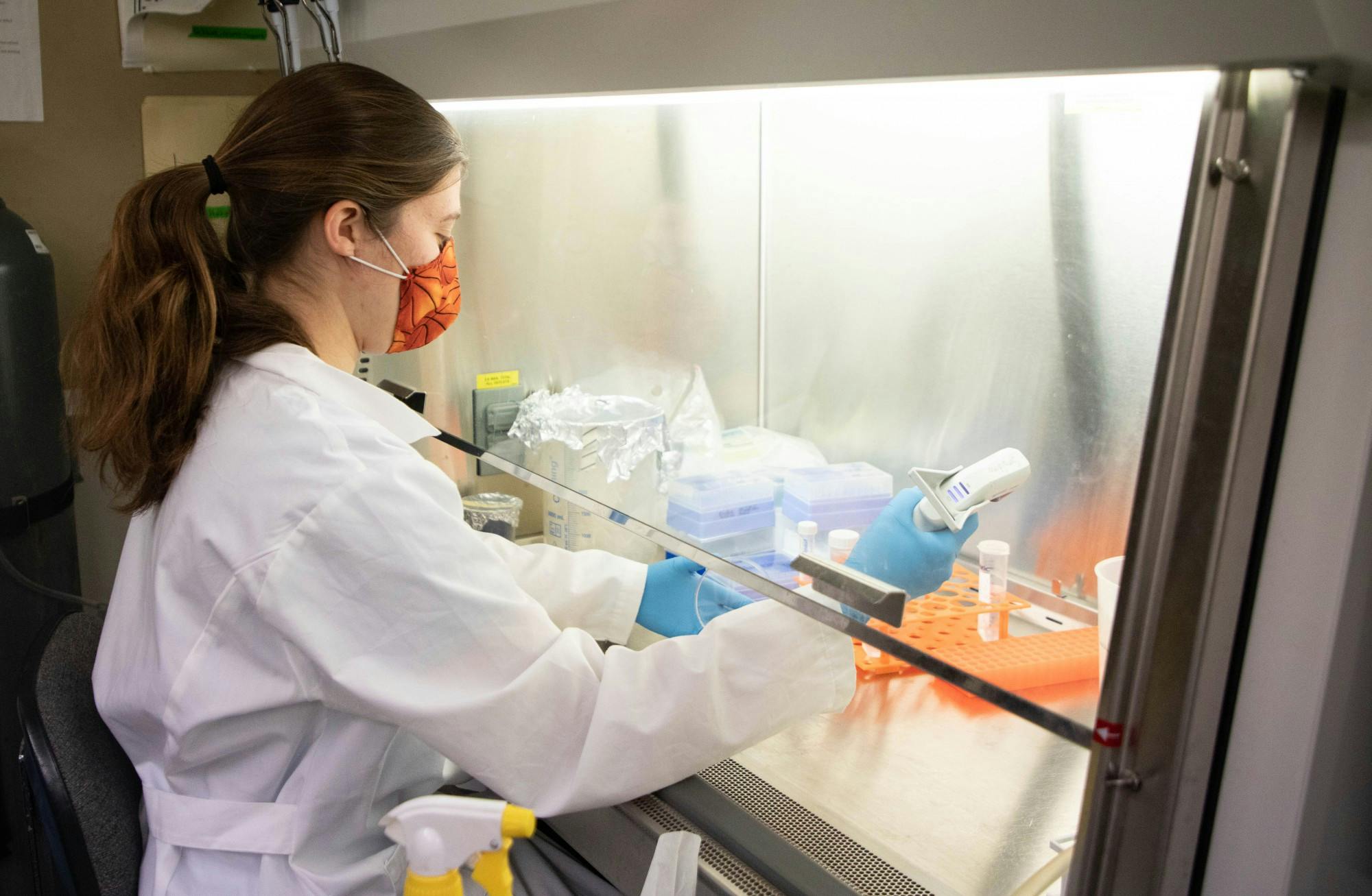 Using the cell culture hood, Siara Sandwith supplies the cells with nutrients by maintaining an optimal density so the cells can keep growing Sept. 21, 2020, at the Cooper Physical Science Building. Before sitting down to work, Sandwith uses an ethanol spray to disinfect her lab coat. Sumayyah Muhammad, DN