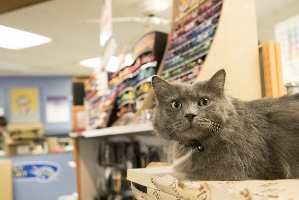 Businesses located in the Village are used to a dip in sales during the winter break, and some plan accordingly. Art Mart was closed for several days during the holiday to do inventory, and when the shop opened, it was only inhabited by a few employees and a friendly shop cat. DN PHOTO JORDAN HUFFER 