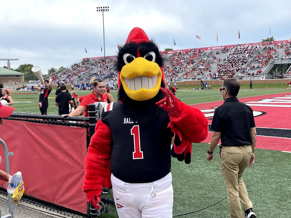 Flying with new feathers: new Charlie Cardinal costume makes debut