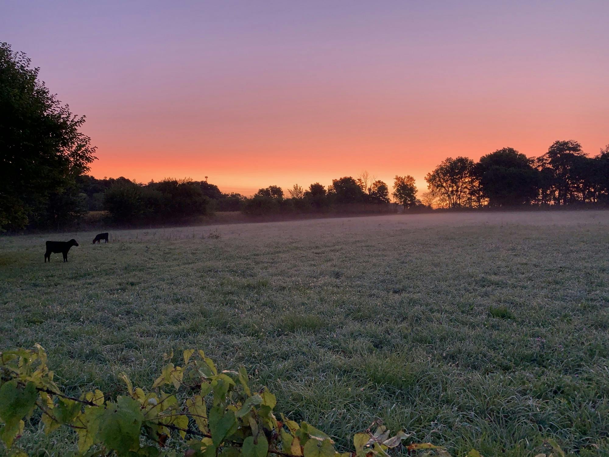 Featured Image provided by Amy Ward