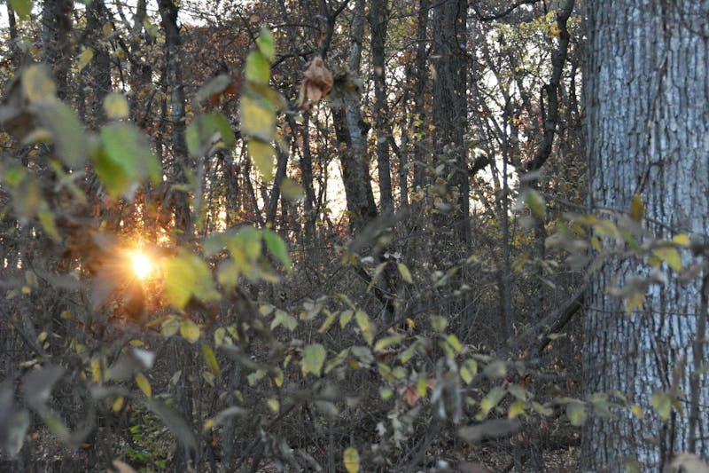 IPR: Indiana will no longer move forward with its plan to reduce greenhouse gas emissions