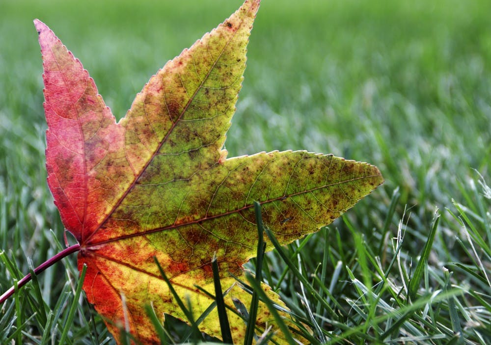<p>Ball State students have fall break until classes resume Oct. 10, 2018. Pumpkin patches, Netflix marathoning and catching up on studies are just a few out of many fall break activities. <strong>Paige Grider, DN</strong></p>