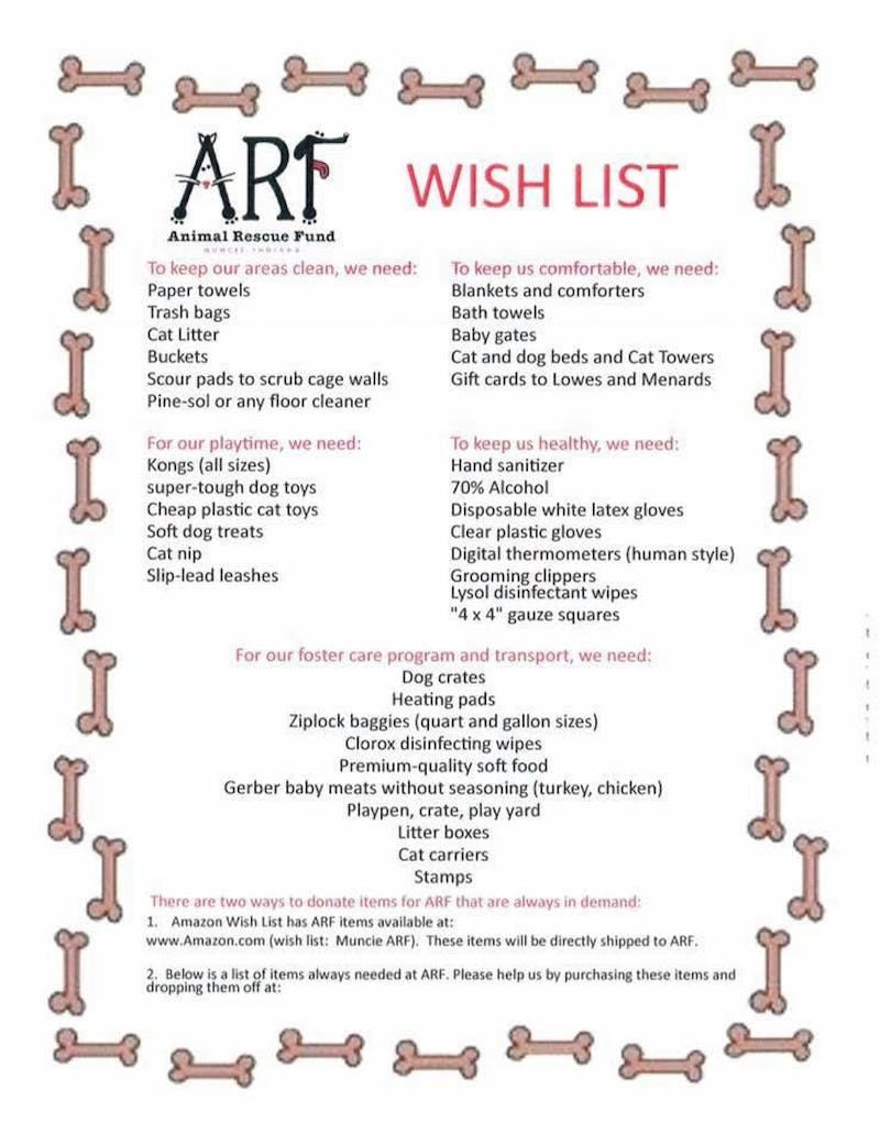 Local businesses support animal shelter with 'Christmas Shopping Experience'