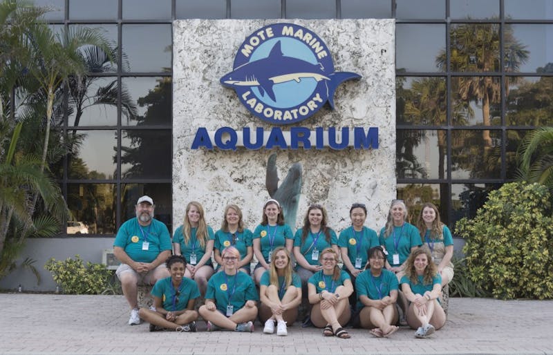 Students study sea creatures to create children's books