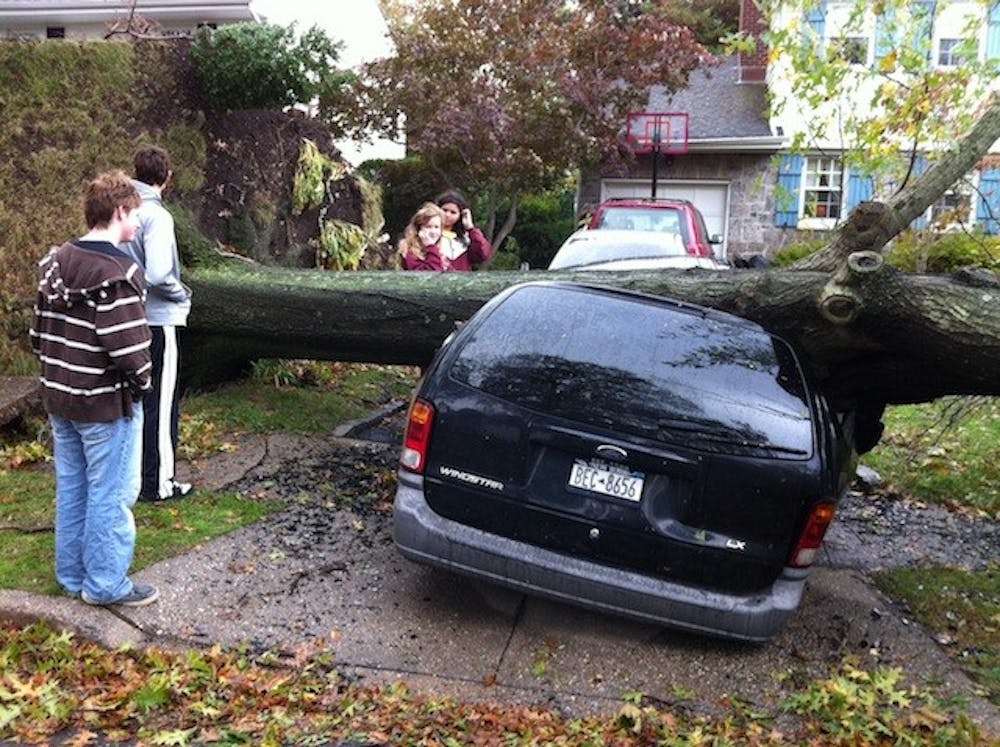 A family looks at the damage that a tree has made in crushing a car from high winds from superstorm Sandy, on Kildare Road in Garden City, New York, Tuesday, October 30, 2012. (Karen Stabile/Newsday/MCT)