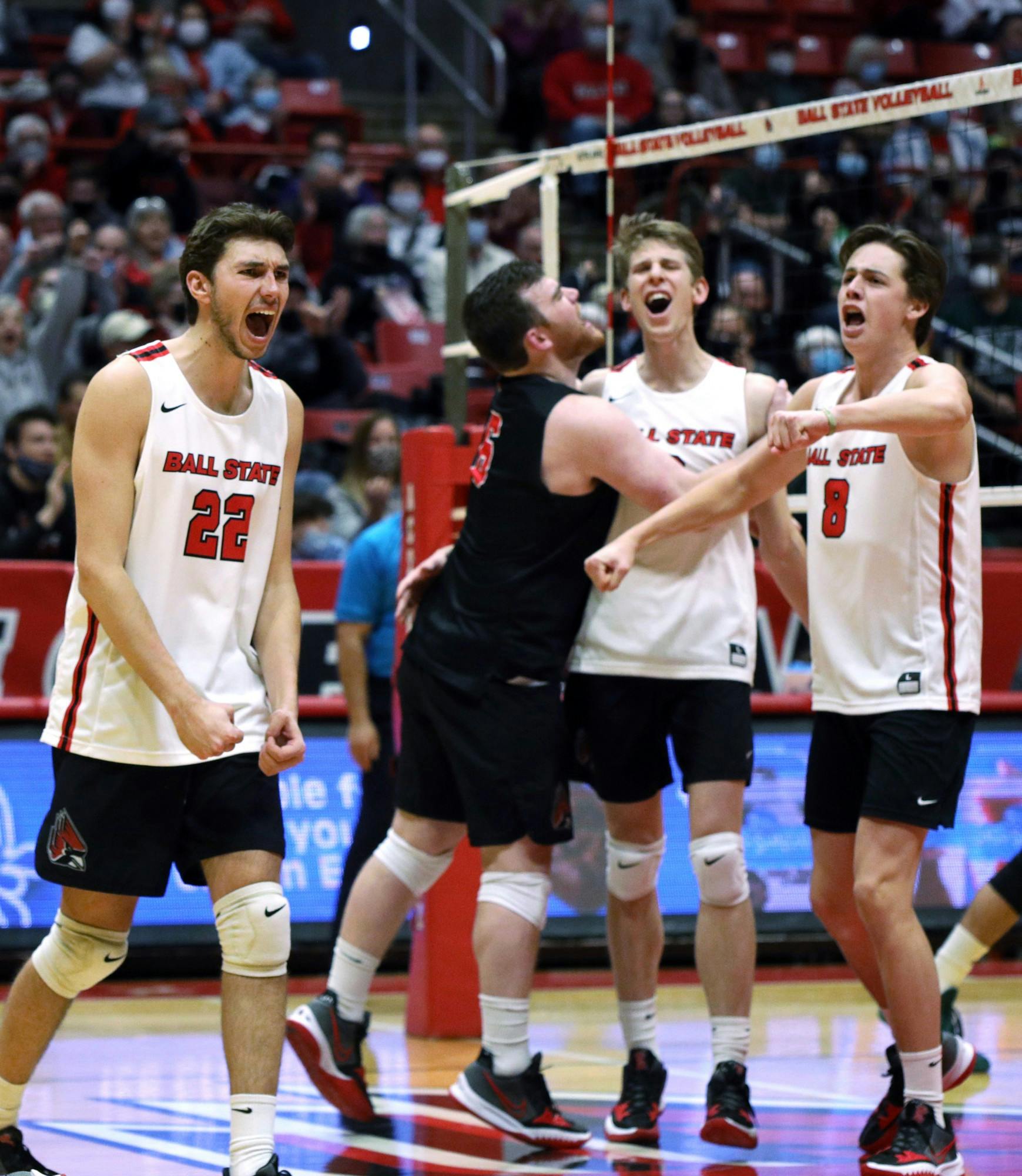 The Ball State Men's Volleyball team celebrates scoring a point against Hawaii on Jan. 29, 2022, at Worthen Arena in Muncie, IN. The Cardinals beat Hawaii in three sets. Amber Pietz, DN