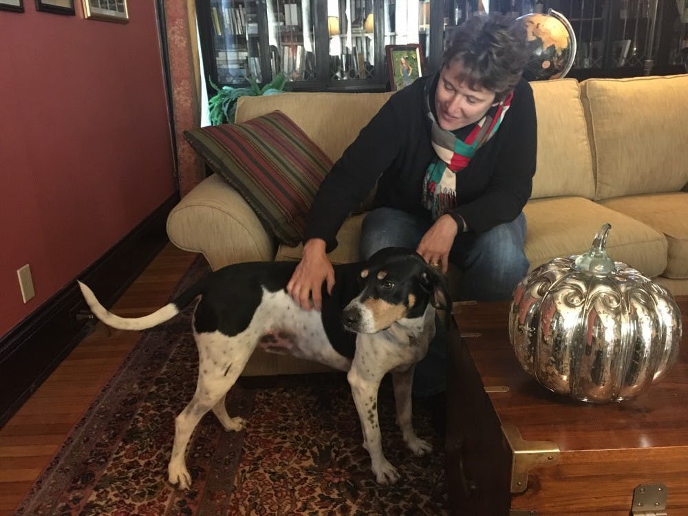 Laura O’Hara, an associate professor of communication studies, and her husband Michael O’Hara, associate Dean of the College of Fine Arts, own a coon dog named Coco. The O’Haras have owned four dogs together, and they came into connection with Coco at Muncie’s ARF. Laura O’Hara // Photo Provided