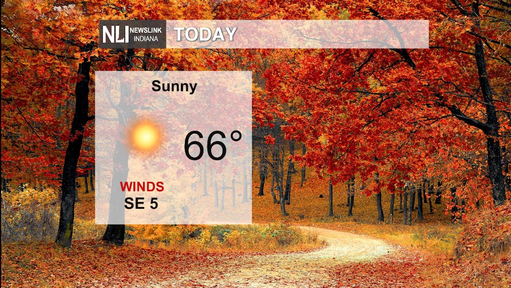 Sunny weather for mid-November!