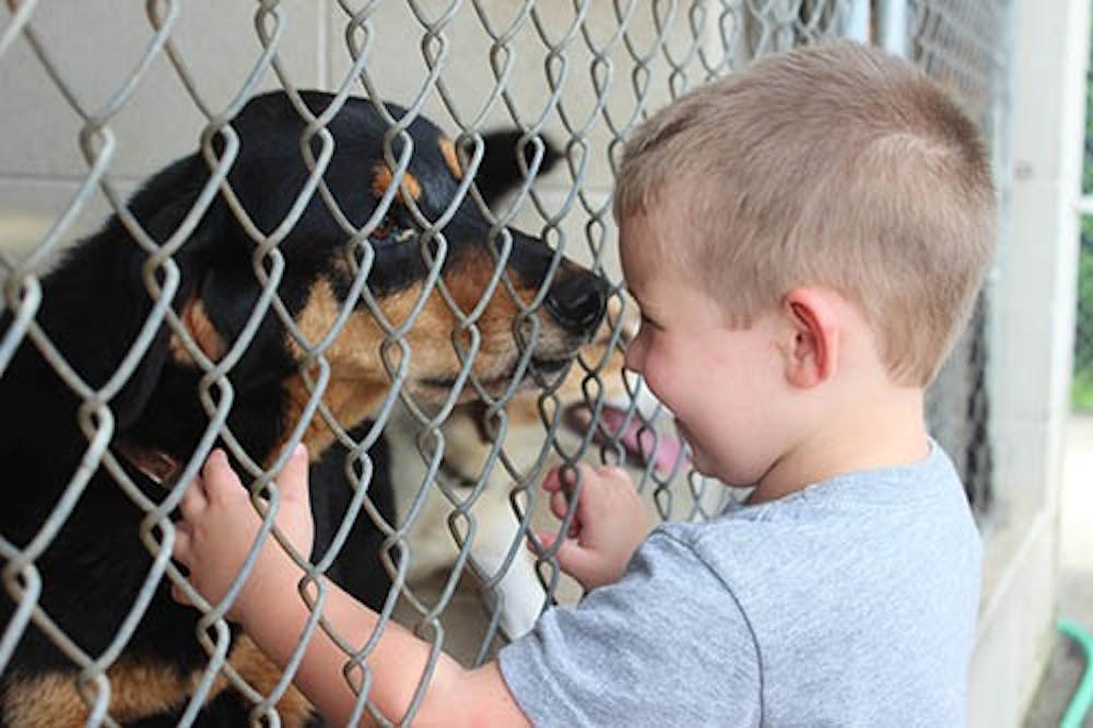 Elijah Fowler pets an adoptable dog at the Muncie Animal Shelter on Friday. Fowler and his parents were among the many families who came to the shelter in the hopes of adopting an animal for $5.  DN PHOTO KRYSTAL BYERS