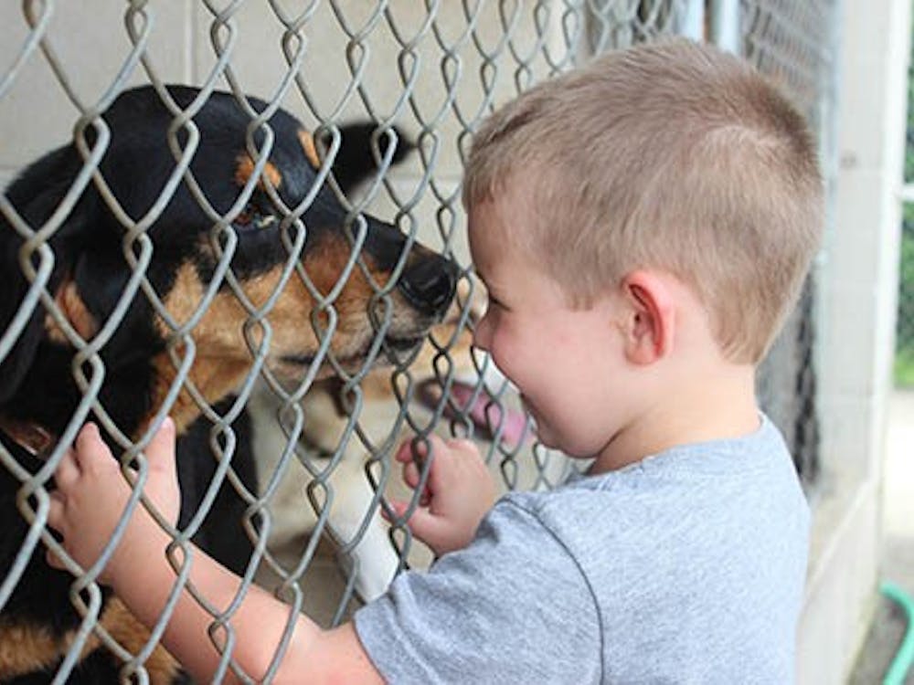 Elijah Fowler pets an adoptable dog at the Muncie Animal Shelter on Friday. Fowler and his parents were among the many families who came to the shelter in the hopes of adopting an animal for $5.  DN PHOTO KRYSTAL BYERS