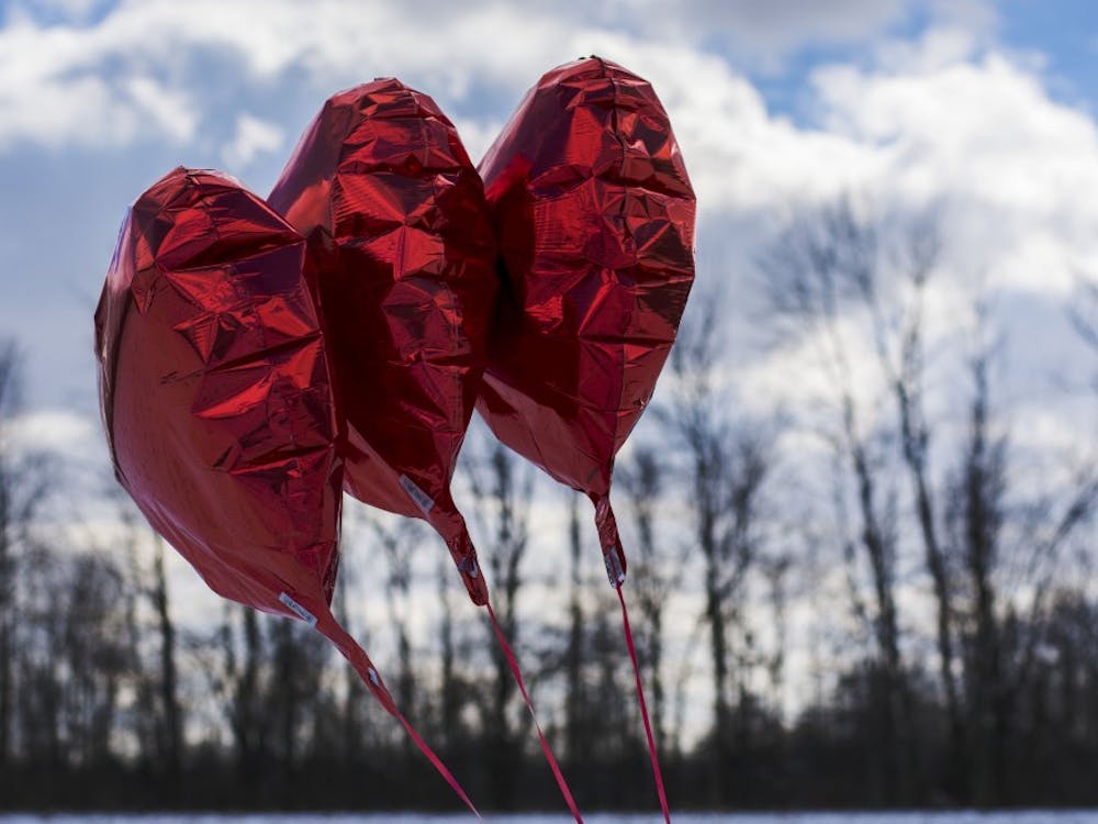 There are cheap date ideas all around Muncie for an easy Valentine's Day this Sunday.&nbsp;DN PHOTO SAMANTHA BRAMMER