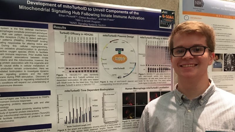 Intern Spotlight: National Institute of Allergy and Infectious Diseases accepts first Ball State intern