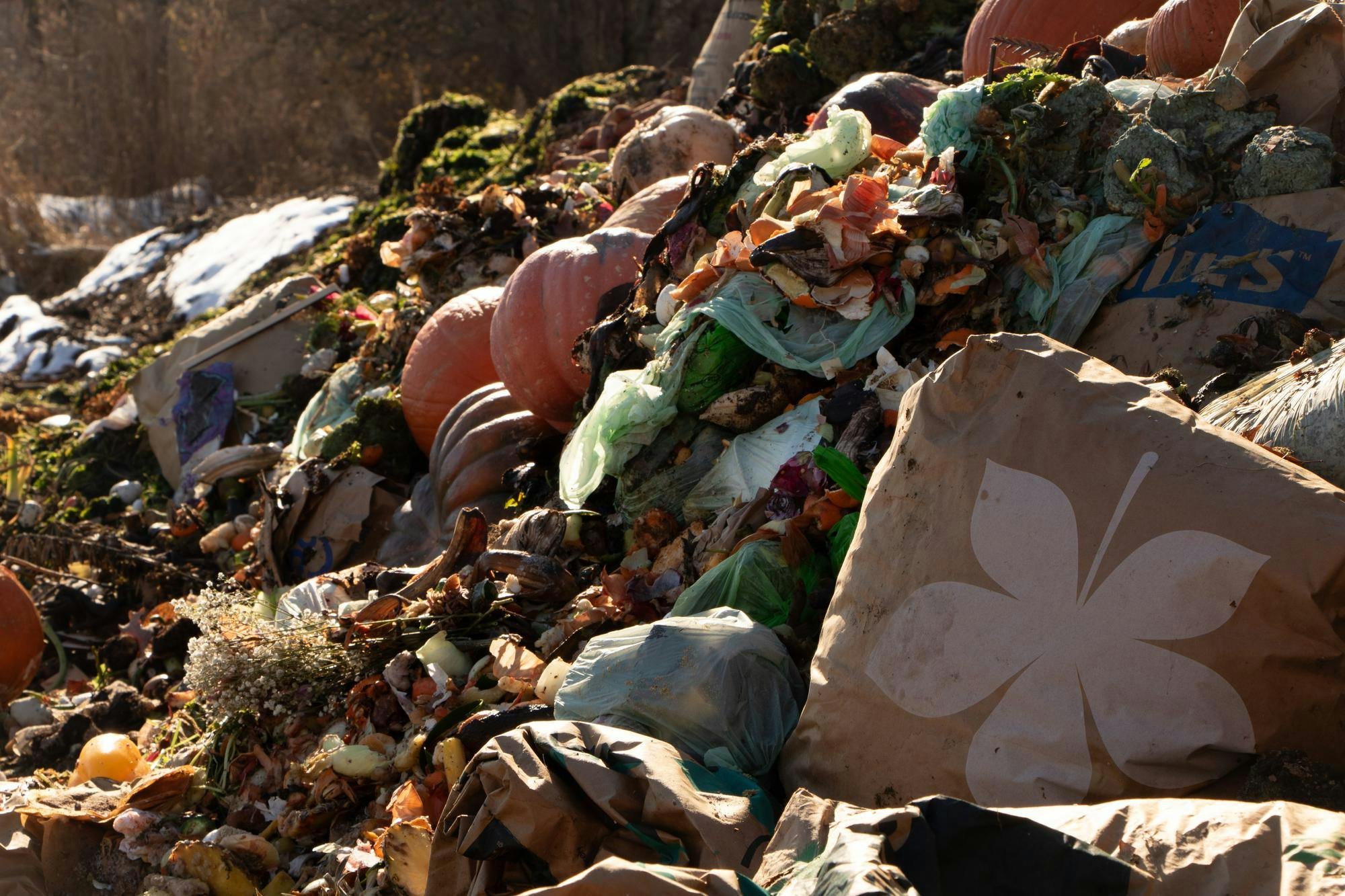 Steam rises along hills of recent waste collections at Scrapcycle’s open-air processing facility outside Muncie. Any new material collected by Scrapcycle such as dried leaves, produce trimmings, and paper products will take around one year to break down completely. PHOTO BY BLAKE CHAPMAN